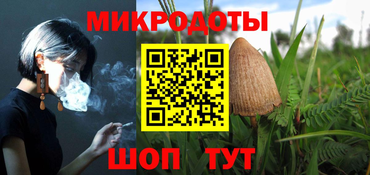 Галлюциногенные грибы Psilocybe Зима